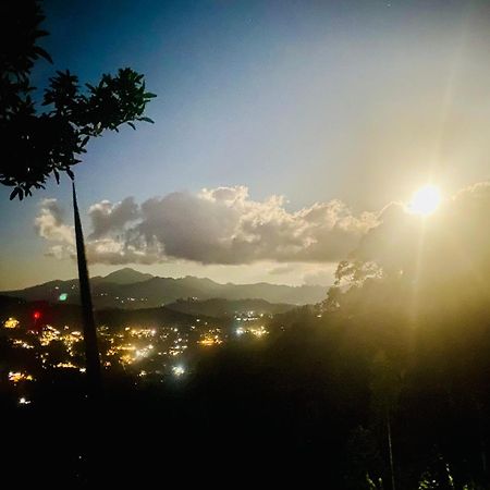 Serene Homestay אלה מראה חיצוני תמונה