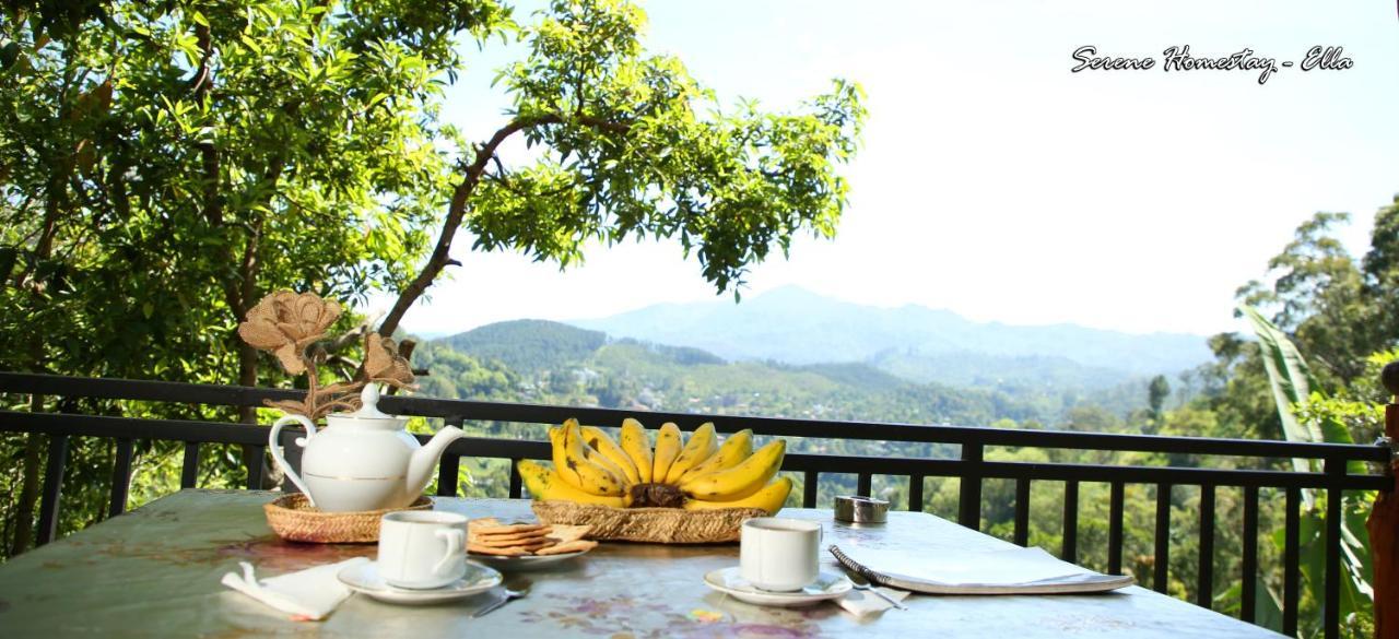 Serene Homestay אלה מראה חיצוני תמונה