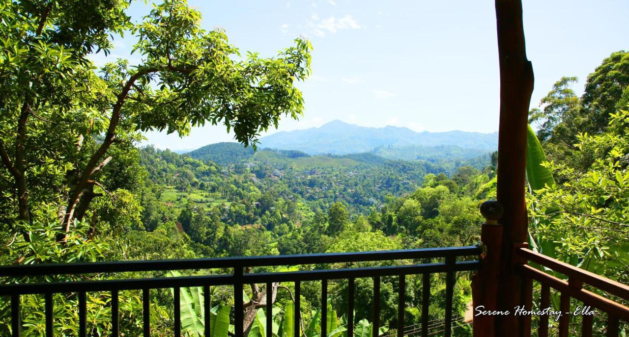 Serene Homestay אלה מראה חיצוני תמונה
